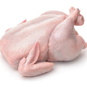 Chicken Baby Bird