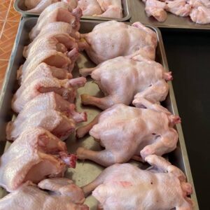 Dressed Chicken (Slaughtered)