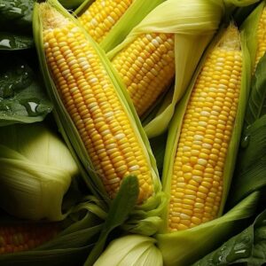 Fresh maize - per cob