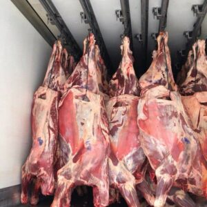 Slaughtered Lamb/Mutton